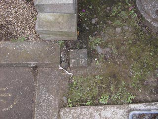 【設計】いよいよ11月に突入ですね・・・_b0084587_1323178.jpg