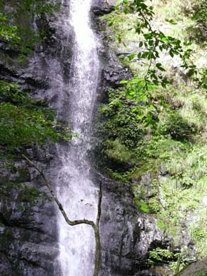 b0119190_1756273.jpg