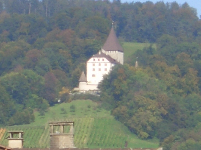e0018791_215276.jpg