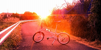 c0006592_6564926.jpg