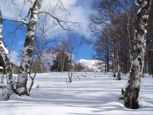 f0129994_22321572.jpg