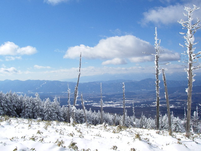 f0129994_22351339.jpg
