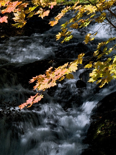 c0008502_17451326.jpg