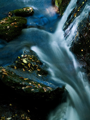 c0008502_174617.jpg