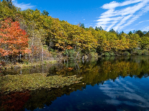 c0008502_17462794.jpg