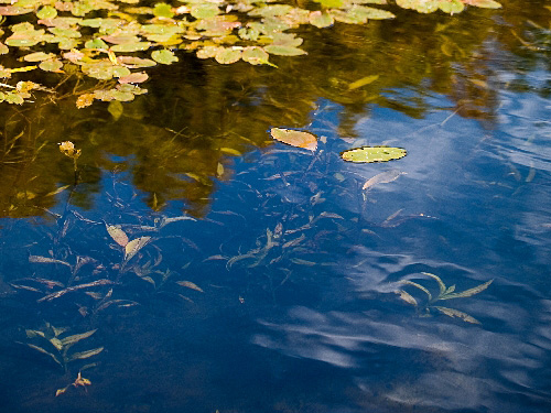 c0008502_17473553.jpg