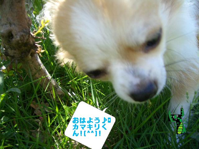 c0132205_19481163.jpg