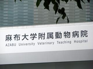 f0080105_11301146.jpg