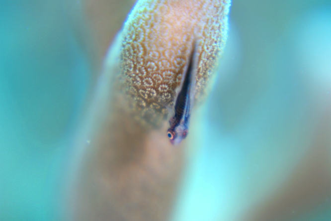 a0082706_21353115.jpg