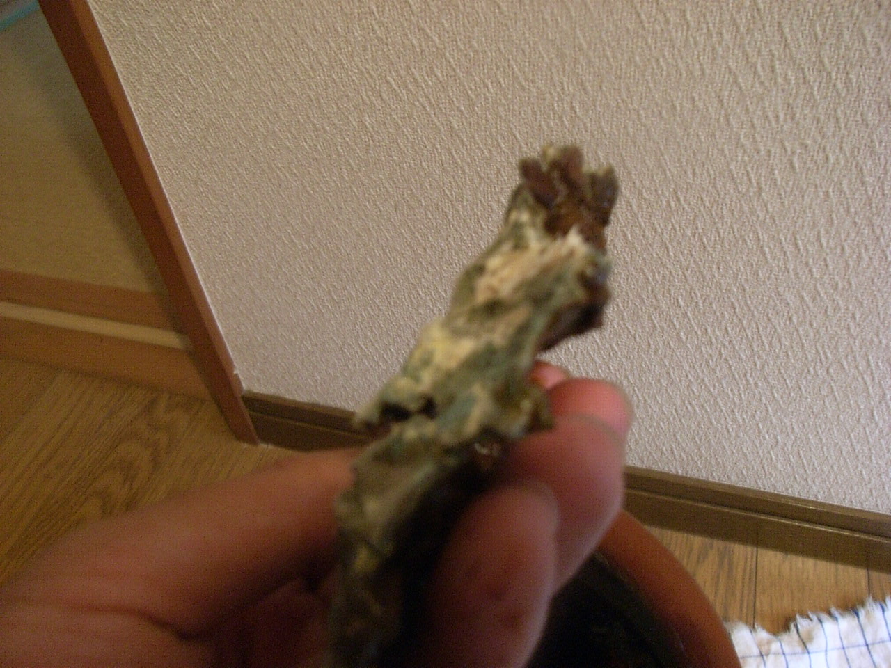 c0109306_15355623.jpg