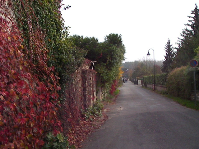 f0038407_15522599.jpg