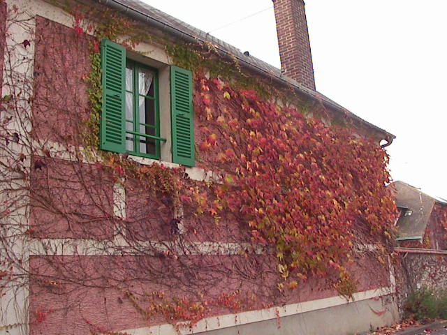 f0038407_1553598.jpg