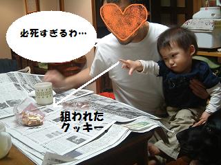 a0042313_5375477.jpg
