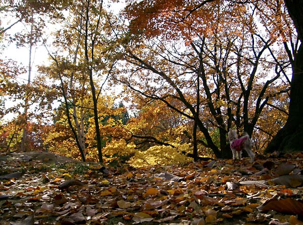 b0118416_21523442.jpg