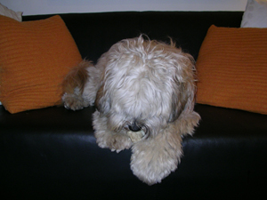 c0133721_3265367.jpg