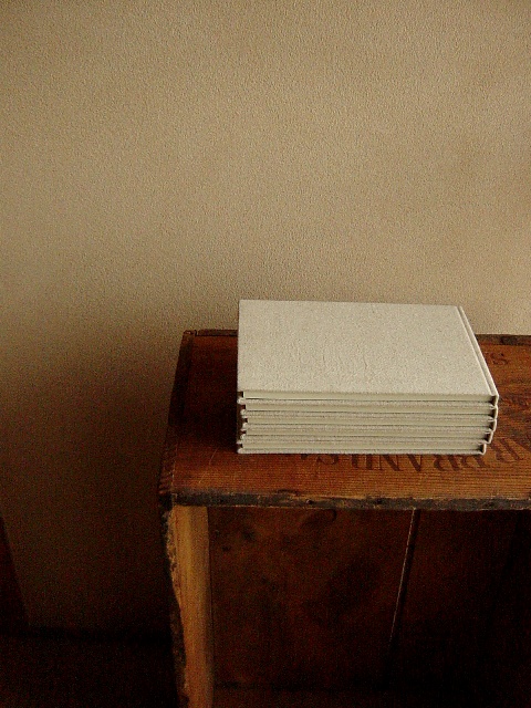 c0134522_1052911.jpg