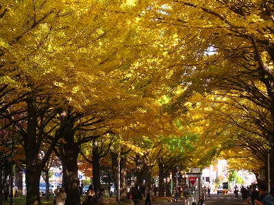 c0134029_1303675.jpg