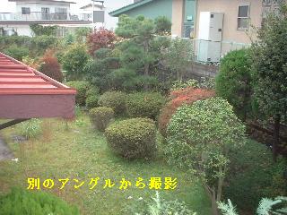 現場あちこち_f0031037_1047116.jpg