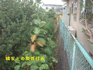 現場あちこち_f0031037_10471564.jpg