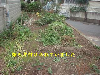 現場あちこち_f0031037_10491182.jpg