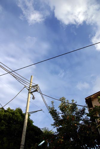 f0149442_16593061.jpg