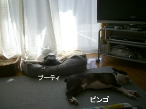 c0035443_0582989.jpg