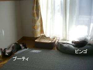 c0035443_058574.jpg