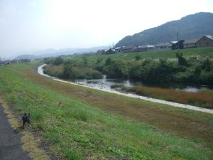 c0035443_9245677.jpg