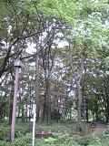 c0143444_4522767.jpg