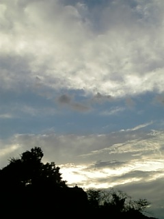 f0099147_7394566.jpg