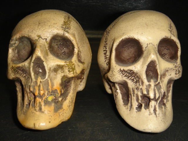 SKULL_d0132657_2234721.jpg