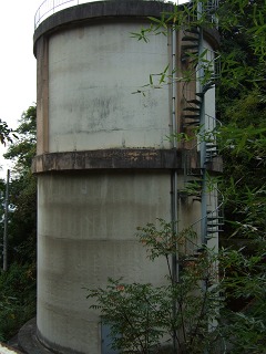 b0095061_856491.jpg