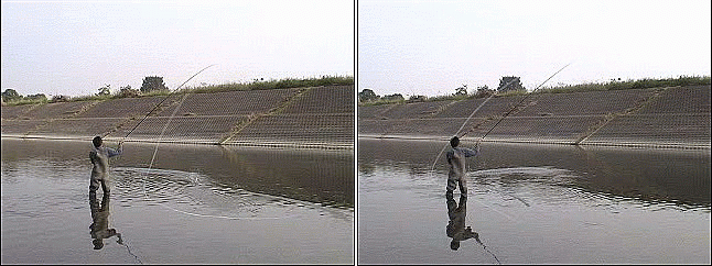 f0084561_12311192.gif