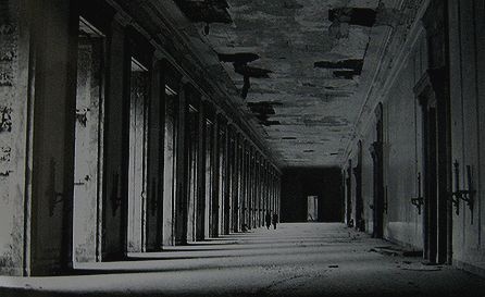 f0139570_1101881.jpg
