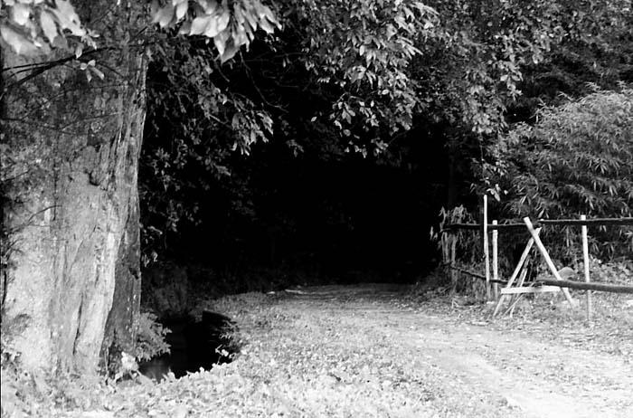 c0131875_158716.jpg