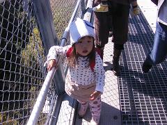 e0105581_1784611.jpg