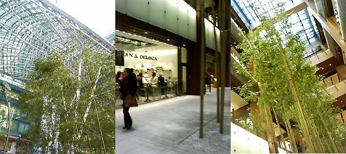 f0016981_0365584.jpg