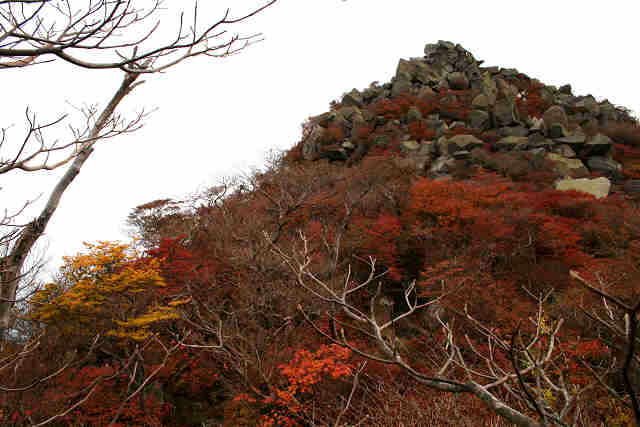 男池から黒岳（天狗岩）_f0082181_1531582.jpg