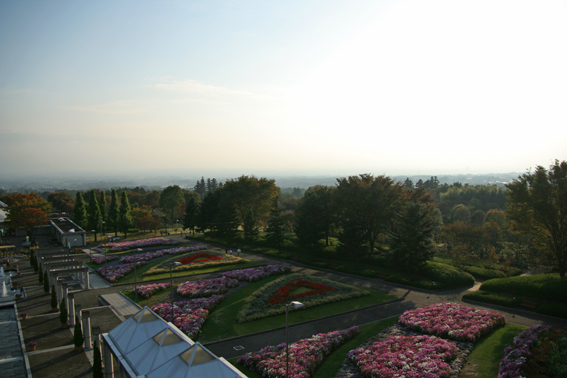 e0027083_7153238.jpg