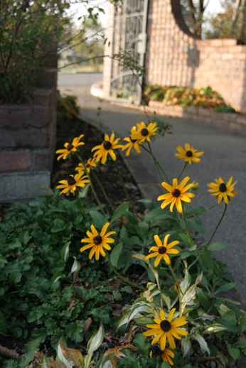 e0027083_7174946.jpg