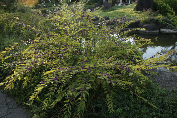 e0027083_7181521.jpg