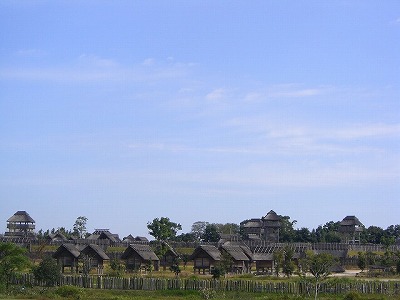 a0082884_11124174.jpg