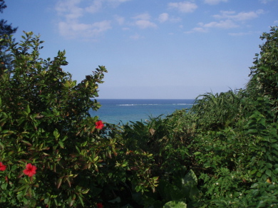 ♪OKINAWA2007_d0079988_2020759.jpg