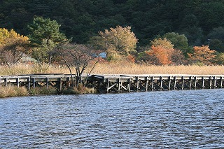 c0142693_2462797.jpg