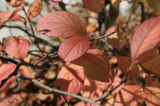 c0142693_2465815.jpg