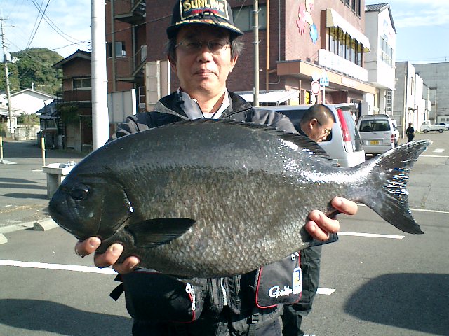 ２日；来た～！６６cm尾長グレ水島２番にて４８cm、４２cmも！_d0114397_1548279.jpg