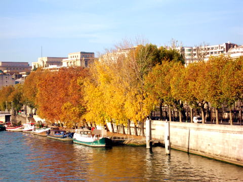 c0090198_4253598.jpg