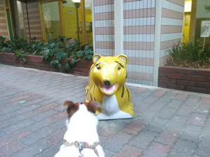 f0146198_0582890.jpg