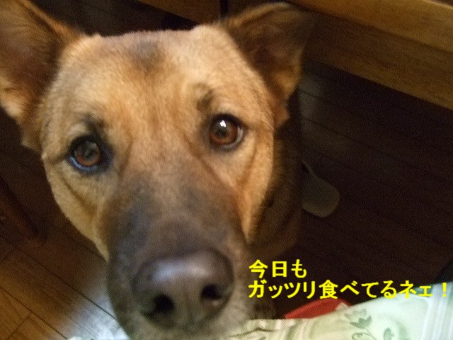 b0087400_23281148.jpg