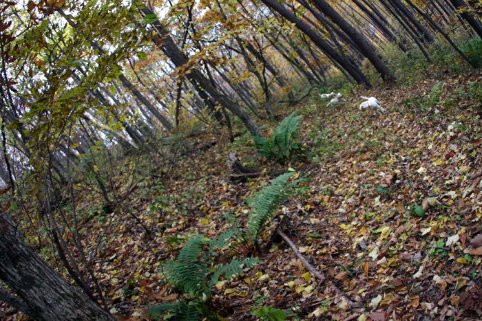 c0089005_21444239.jpg
